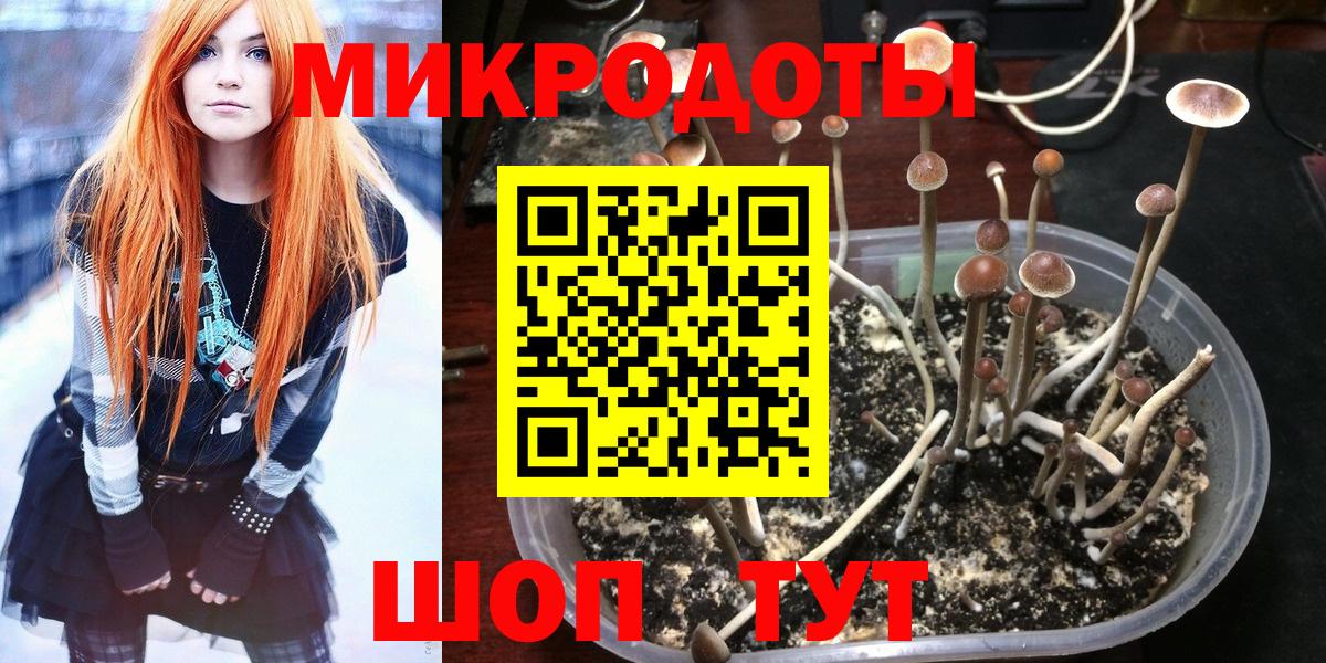 Гулькевичи  Галлюциногенные грибы MAGIC MUSHROOMS  Вход с VPN  Псилоцибиновые грибы прущие грибы 