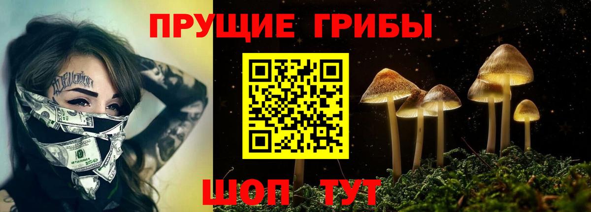 Галлюциногенные грибы MAGIC MUSHROOMS Гулькевичи